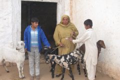 Nargis-Bibi05-2048x1536